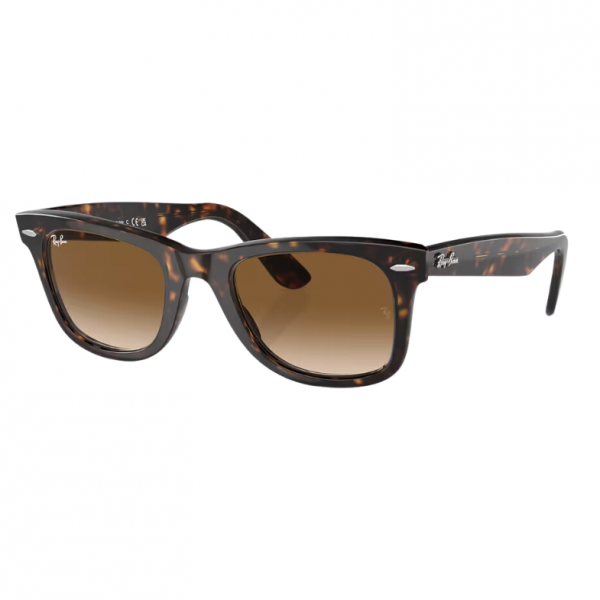 rayban wayfarer