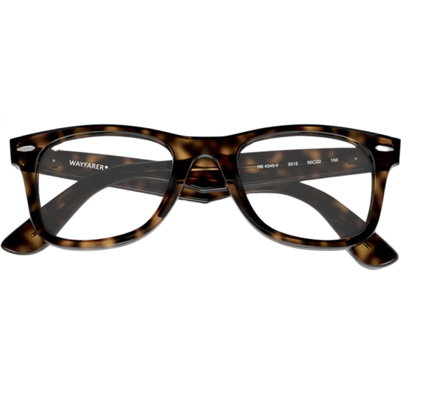 wayfarer optics