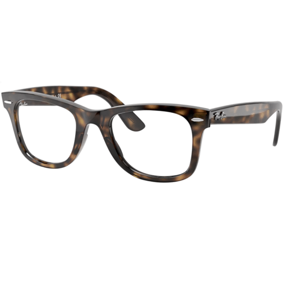 wayfarer optics